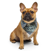 Frenchie Dog wearing a pet bandana with turkey feather pattern on it from River to Ridge Clothing brand