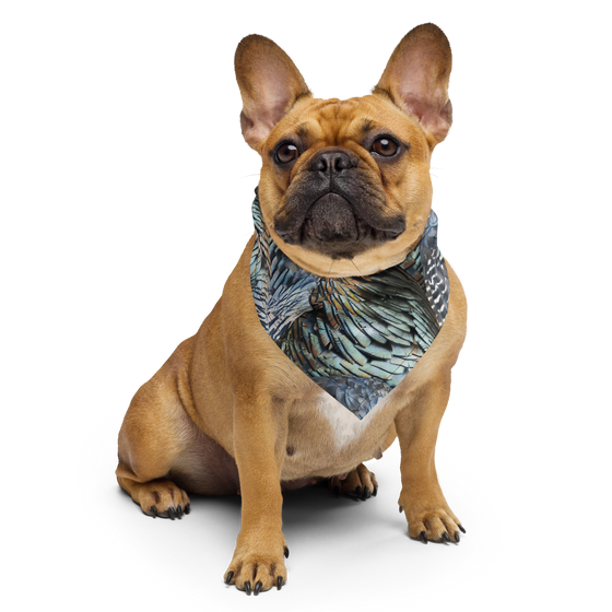 Frenchie Dog wearing a pet bandana with turkey feather pattern on it from River to Ridge Clothing brand