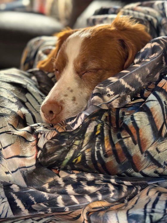 Springer Spaniel hunting dog sleeping on a Turkey Feather Pattern blanket from river to ridge brand