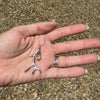 Elk Antler Necklace, Sterling Silver Chain, Crystal