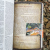 FREE Shipping, Leather Realtree Camo Outdoorsman's Bible