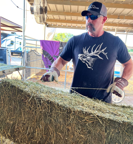 Elk Logo Men's T, Forest or Black