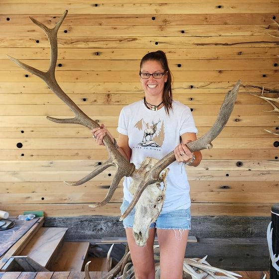 Women's High Country Elk T-Shirt, Ash