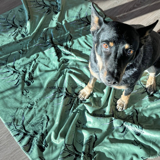 Blue Heeler dog on an elk fleece blanket in green from River to Ridge Clothing