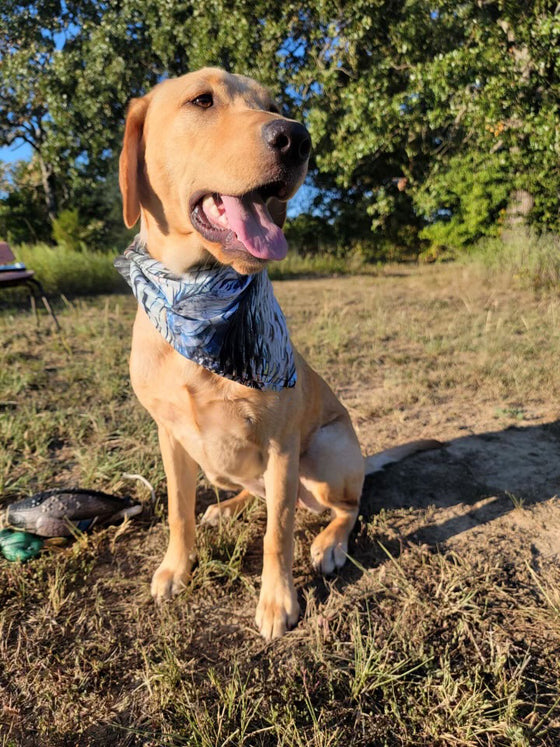 Pet Bandana: Turkey Feather Pattern