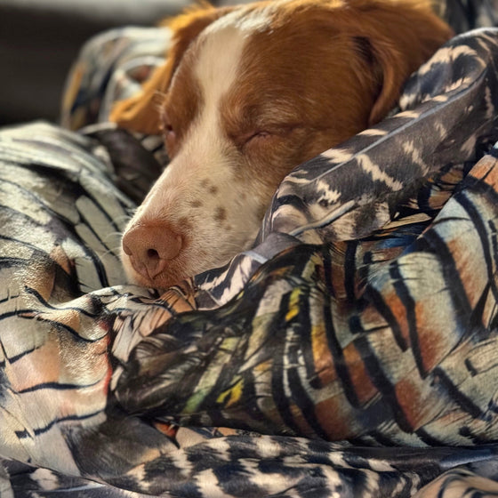 Springer Spaniel hunting dog sleeping on a Turkey Feather Pattern blanket from river to ridge brand