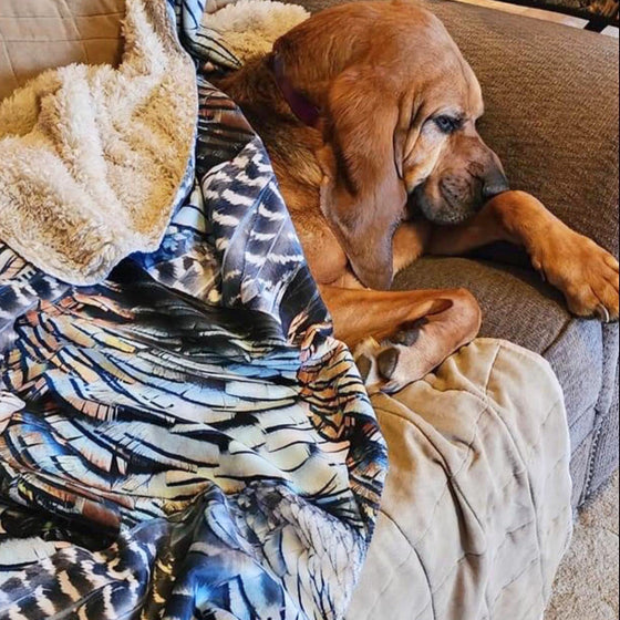 Treat Your Pet to an Ultra Soft Turkey Feather Sherpa Blanket