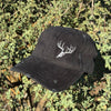 Whitetail Distressed Low Profile Hat, Unisex