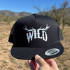 wild hat with elk antlers in black and white from River to ridge