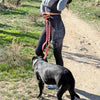 Person walking a dog on a leash in a natural setting